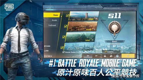 吃鸡新皮肤爆料最新版,揭秘爆料最新版神秘面纱